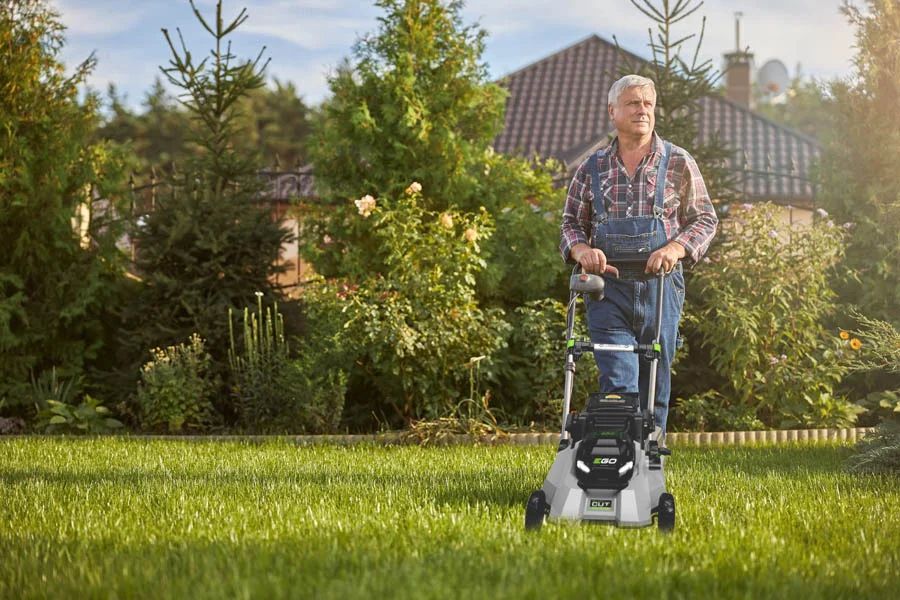 the best lawn mower