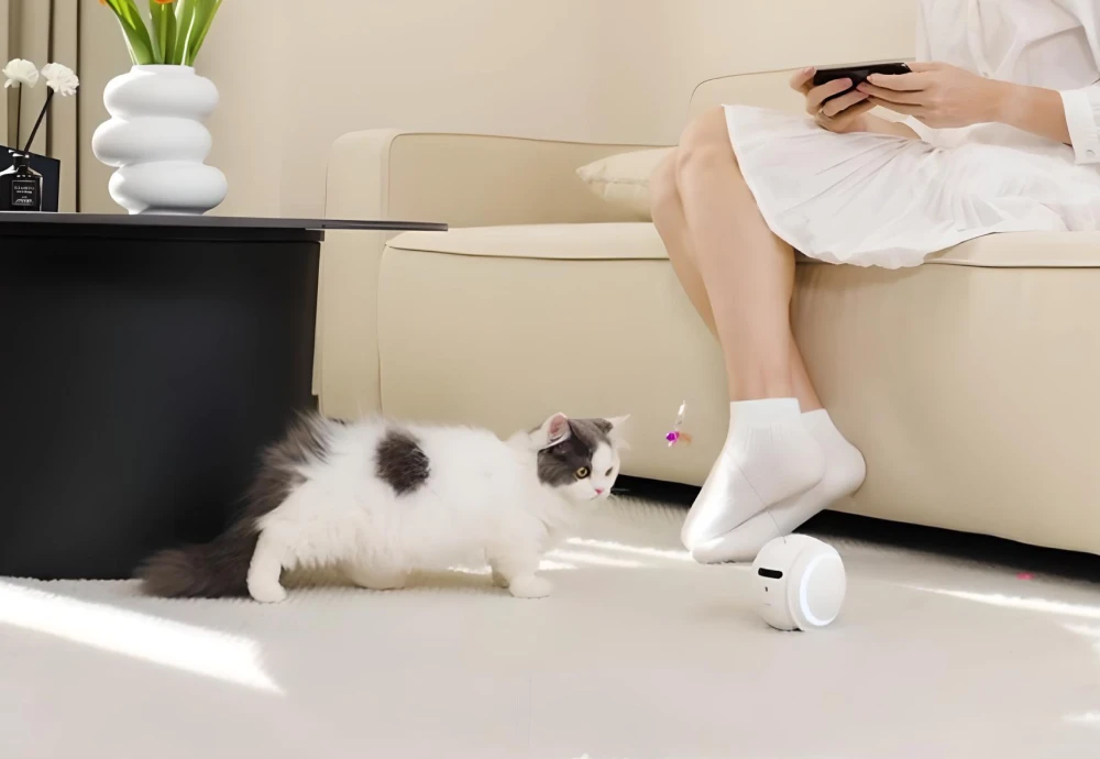 best indoor security camera for pets