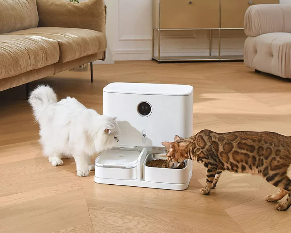 best automatic pet feeder for dogs